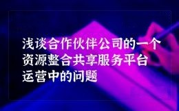 淺談合作伙伴公司的一個資源整合